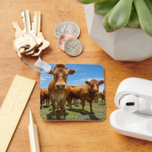 Porte-clés Farms Brown cow