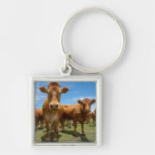 Porte-clés Farms | Brown cow (Devant)
