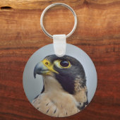 Porte-clés Faucon pèlerin (Recto)