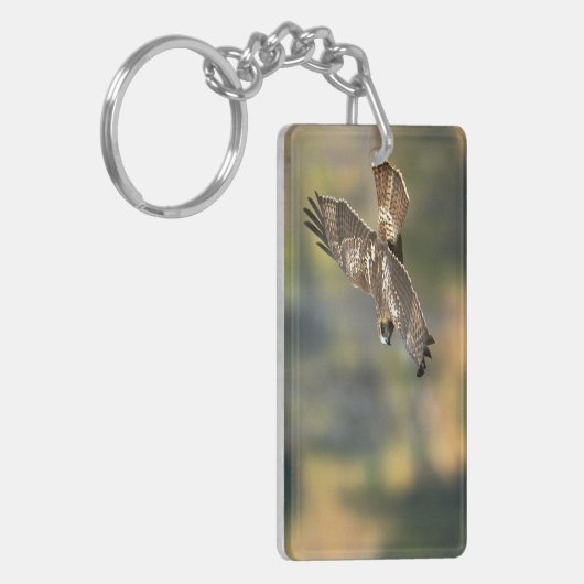 Porte-clés faucon Rouge-coupé la queue (Devant gauche)