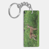 Porte-clés Faune devant une clôture (Devant gauche)