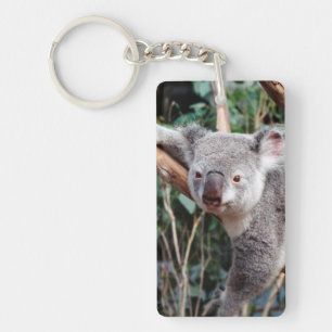 Porte-clés Featherdale Wildlife Park, ours koalas
