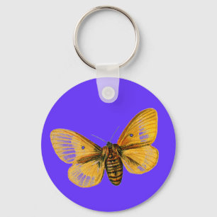 Porte-clés femelle de Bombyx quercus