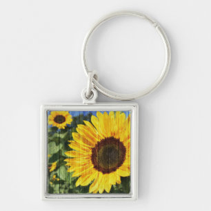Porte-clés Fence painted de Sunflowers
