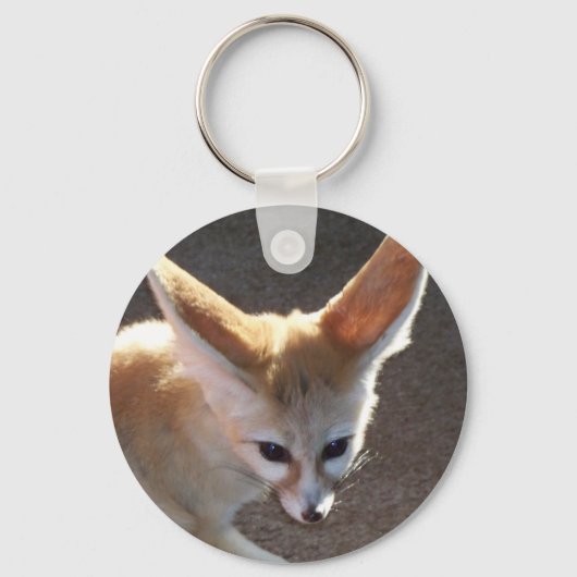 Porte-clés Fennec Fox (Recto)
