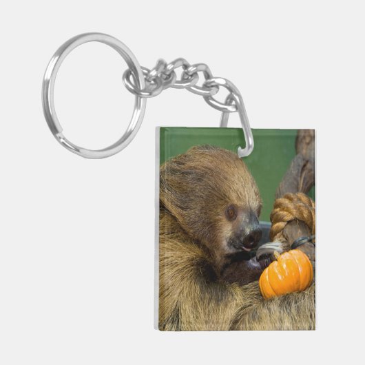 Porte-clés Fente avec Citrouille (Devant gauche)