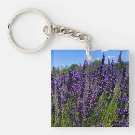 Porte-clés Ferme de Lavender (Devant)