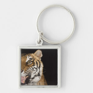 Porte-clés Fermez-vous du visage du tigre d'hurlement