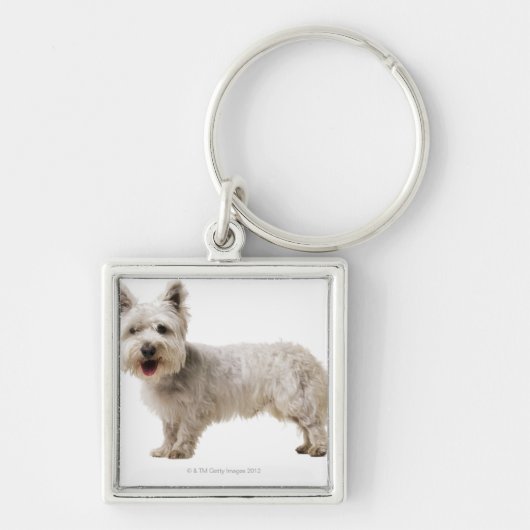 Porte-clés Fermez-vous d'un terrier (Devant)