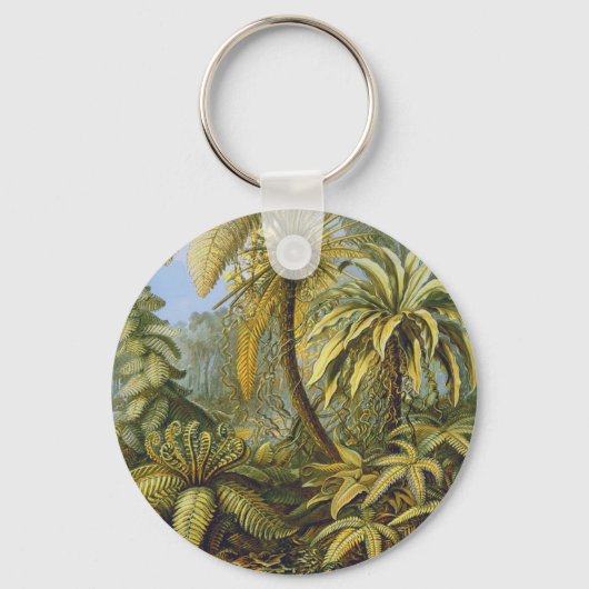Porte-clés Ferns Ernst Haeckel Fine Art (Recto)