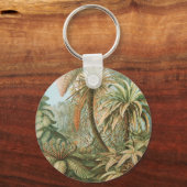 Porte-clés Ferns, Filicinae Laubfarne par Ernst Haeckel (Recto)