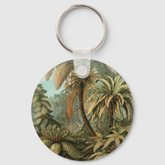 Porte-clés Ferns Palm Tree Antiquité Botanique Ferns Art (Recto)