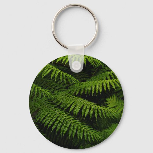 Porte-clés Ferns - Photographie d'Art (Recto)