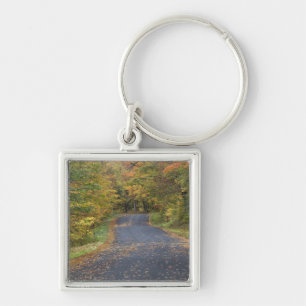 Porte-clés Feuillage d'automne au bord de la route, Vermont d