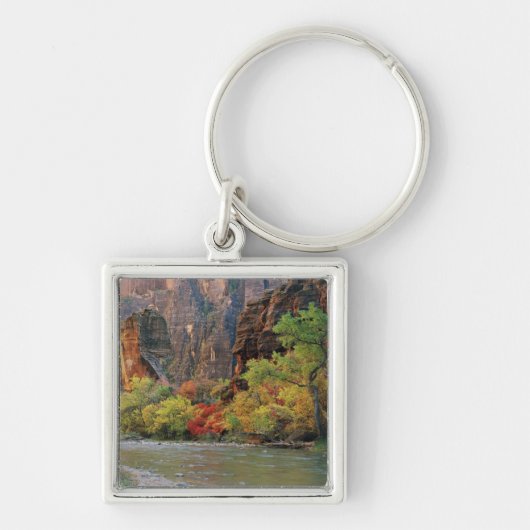 Porte-clés Feuillage d'automne le long de la rivière Virgin p (Devant)