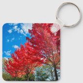 Porte-clés Feuilles D'Arbre Rouge Lumineux En Automne (Dos)