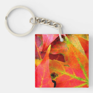 Porte-clés Feuilles d'automne colorées Gros plan
