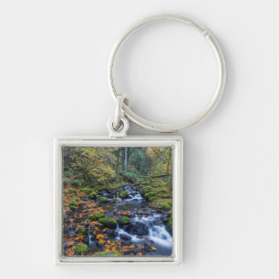 Porte-clés Feuilles d'automne éparpillées le long du ruisseau