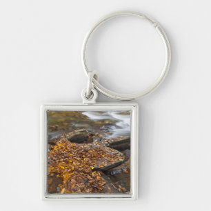 Porte-clés Feuilles d'automne le long de Looking Glass Creek