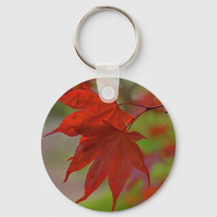 Porte-clés Feuilles de l'arbre rouge
