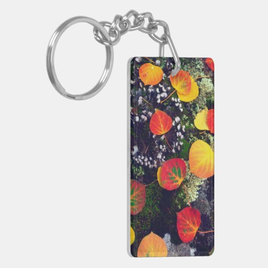 Porte-clés Feuilles sur un rocher couvert de lichen, Rocheuse (Devant gauche)