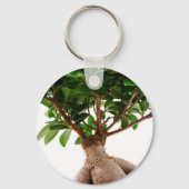Porte-clés Ficus Ginseng (Recto)