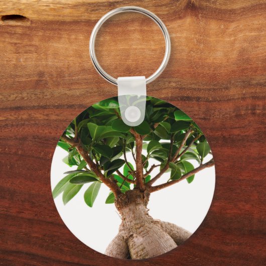 Porte-clés Ficus Ginseng (Recto)