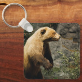 Porte-clés Fière Ours (Recto)