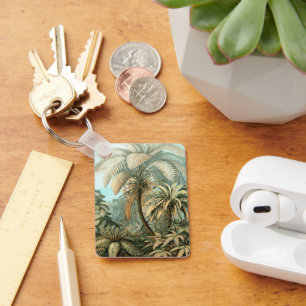 Porte-clés Filicinae par Ernst Haeckel, Plantes de fougères v