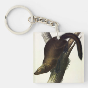 Porte-clés Fisher (Martre de Pennant ou Fisher de Chat) par A