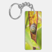 Porte-clés fixation calme (Devant gauche)