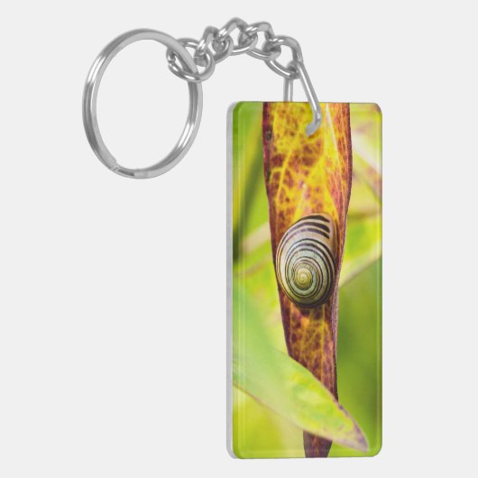 Porte-clés fixation calme (Devant gauche)