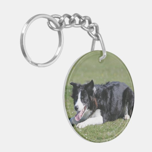 Porte-clés Fixation de border collie (Devant gauche)
