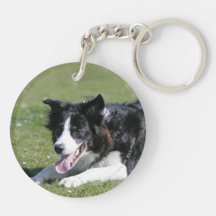Porte-clés Fixation de border collie
