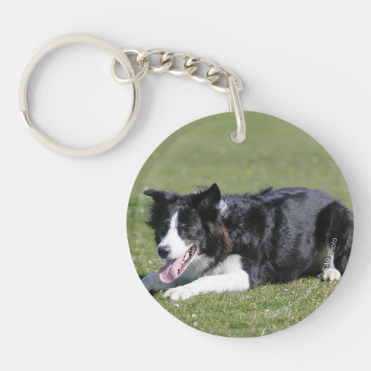 Porte-clés Fixation de border collie (Devant)