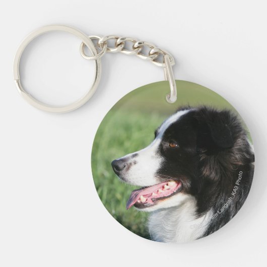 Porte-clés Fixation de chiot de border collie (Devant)