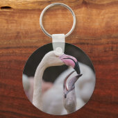 Porte-clés Flamant rose Mère Et Bébé (Recto)
