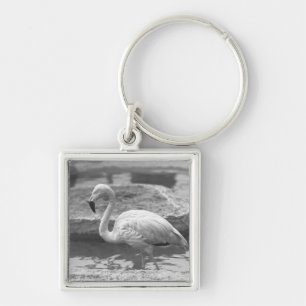 Porte-clés Flamant rose pataugeant dans l'eau B&W