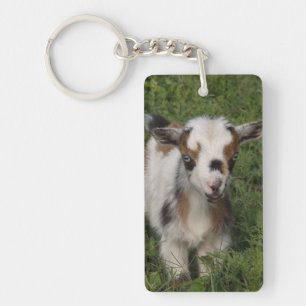 Porte-clés Flashy Nigerian Dwarf Dairy Goat Kid