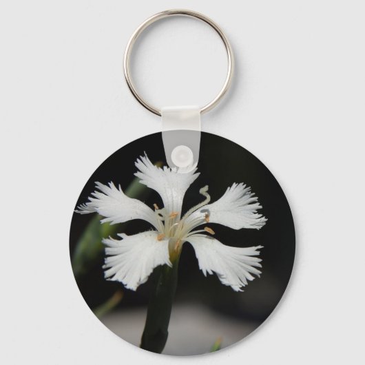 porte-clés fleur blanche (Recto)