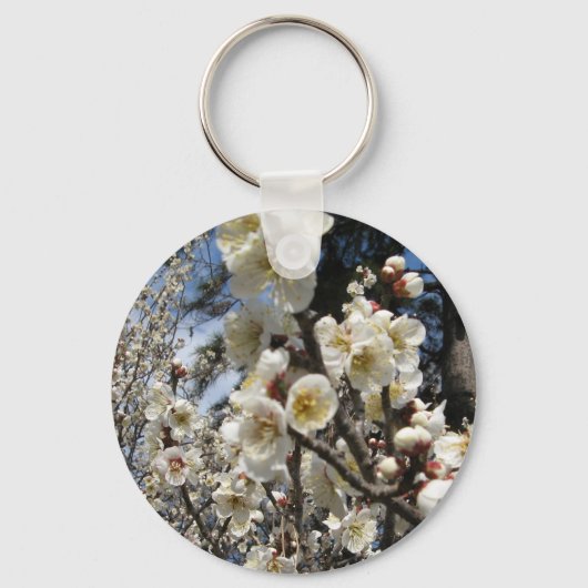 Porte-clés Fleur de cerisier blanc / Sakura / ク(桜) (Recto)