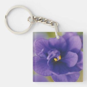 Porte-clés Fleur de fleurs bleues de Violet Saintpaulia Zoomé