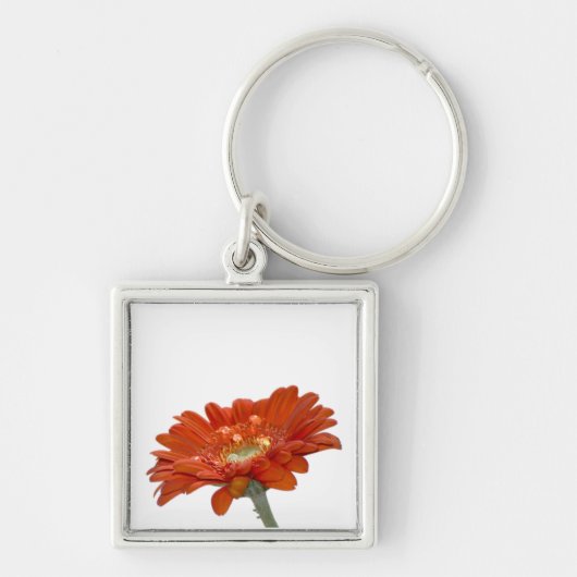 Porte-clés Fleur de Gerbera de marguerite orange (Devant)