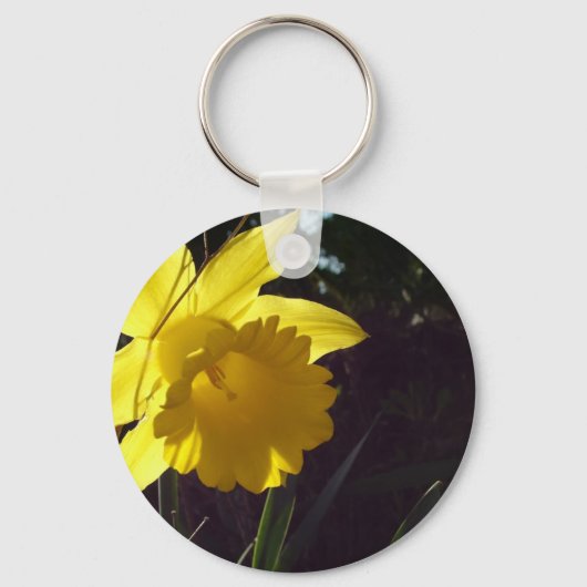Porte-clés fleur de jonquille jaune au soleil (Recto)