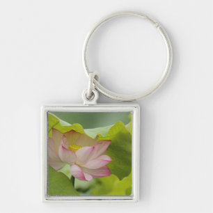 Porte-clés Fleur de lotus, Nelumbo nucifera, Chine