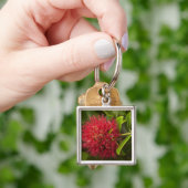 Porte-clés Fleur de Pohutukawa, Dunedin (main)