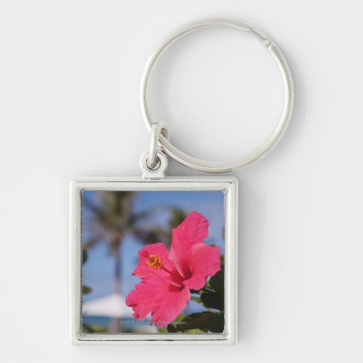 Porte-clés Fleur rose de ketmie (Devant)
