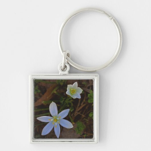 Porte-clés fleurir en blanc (Devant)