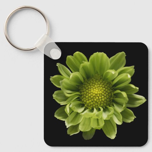 Porte-clés Fleurs | Chrysanthème vert (Recto)