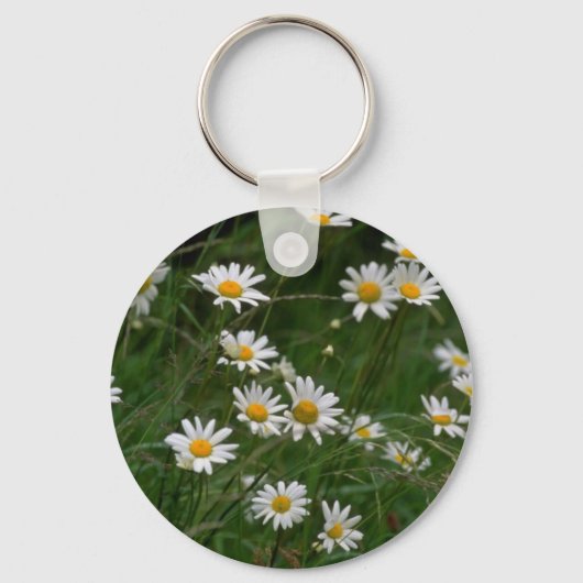 Porte-clés fleurs de marguerite blanc Oxeye (Recto)